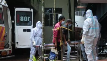 Nipah virus: 'Brain swelling' bat pathogen claims second life with schools in shutdown