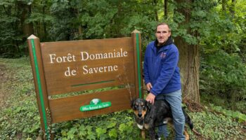 « Nous n’irons plus au bois » : à Saverne, trop de touristes le week-end, l’ONF ferme les routes forestières