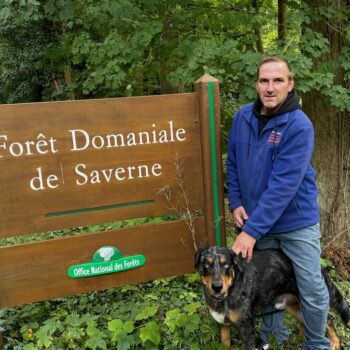 « Nous n’irons plus au bois » : à Saverne, trop de touristes le week-end, l’ONF ferme les routes forestières