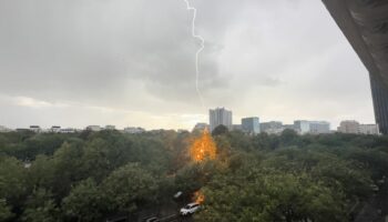 Orage à Paris : les images impressionnantes d’un arbre du cimetière Montparnasse frappé par la foudre