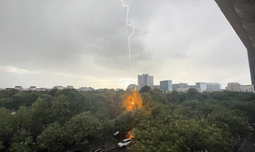 Orage à Paris : les images impressionnantes d’un arbre du cimetière Montparnasse frappé par la foudre