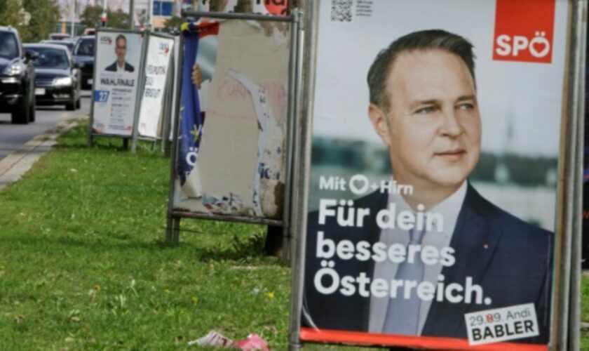 Wahlplakate in Wien