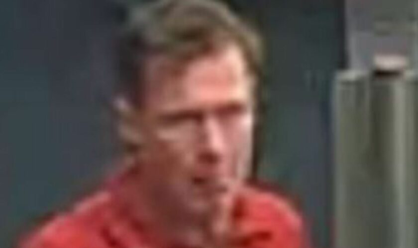 Police release picture of man in connection with attempted child abduction on train