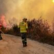 Portugal: Bereits sieben Tote bei Waldbränden