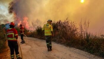 Portugal: Bereits sieben Tote bei Waldbränden