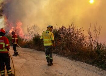 Portugal: Bereits sieben Tote bei Waldbränden