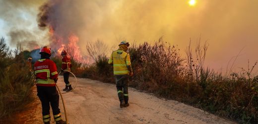 Portugal: Bereits sieben Tote bei Waldbränden