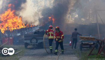 Portugal: Firefighters battle dozens of deadly wildfires