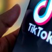 Präsidentschaftswahl in den USA: TikTok löscht Konten von russischen Propagandamedien