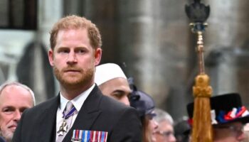 Prince Harry's surprising three-word reply when aide accidentally called him 'mate'