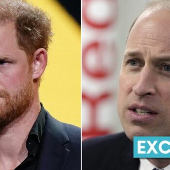 Prince William in 'difficult' realisation about his younger brother Harry