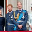 Prince William sent brutal secret message to brother Harry with royal outing