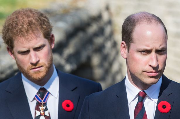 Prince William's ally slams Harry with savage two-word insult over 'part-time' royal role