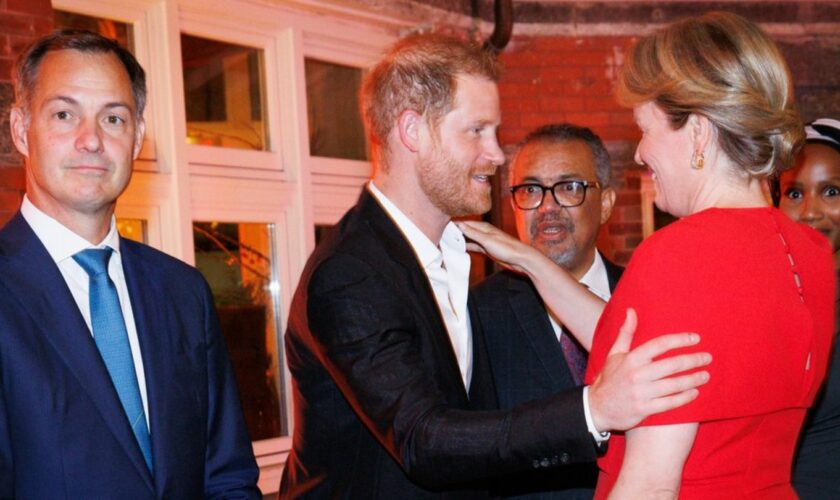 Prinz Harry begrüßt die belgische Königin Mathilde bei einem WHO-Dinner in New York.