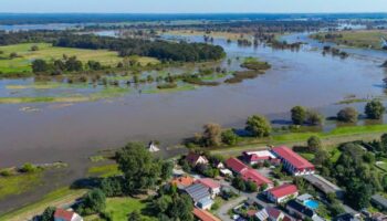 Der deutsch-polnische Grenzfluss Oder führt bei Ratzdorf im Kreis Oder-Spree Hochwasser. Foto: Patrick Pleul/dpa