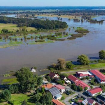 Der deutsch-polnische Grenzfluss Oder führt bei Ratzdorf im Kreis Oder-Spree Hochwasser. Foto: Patrick Pleul/dpa