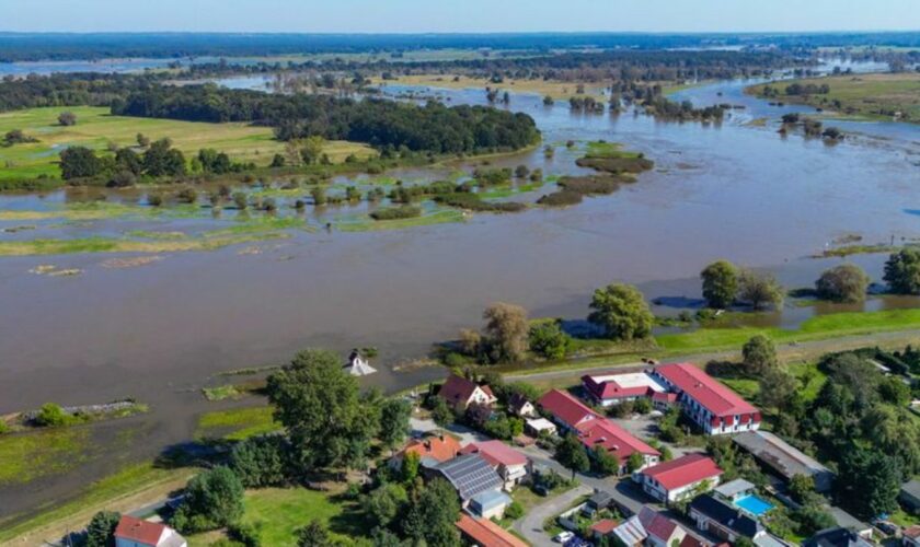 Der deutsch-polnische Grenzfluss Oder führt bei Ratzdorf im Kreis Oder-Spree Hochwasser. Foto: Patrick Pleul/dpa