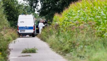 Rätsel um Leichen in Maisfeld in Gronau (NRW) – Ermittler klären Identität eines Toten