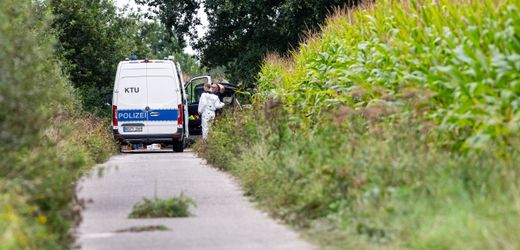 Rätsel um Leichen in Maisfeld in Gronau (NRW) – Ermittler klären Identität eines Toten