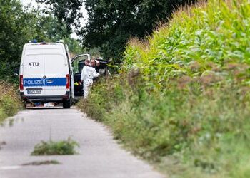 Rätsel um Leichen in Maisfeld in Gronau (NRW) – Ermittler klären Identität eines Toten