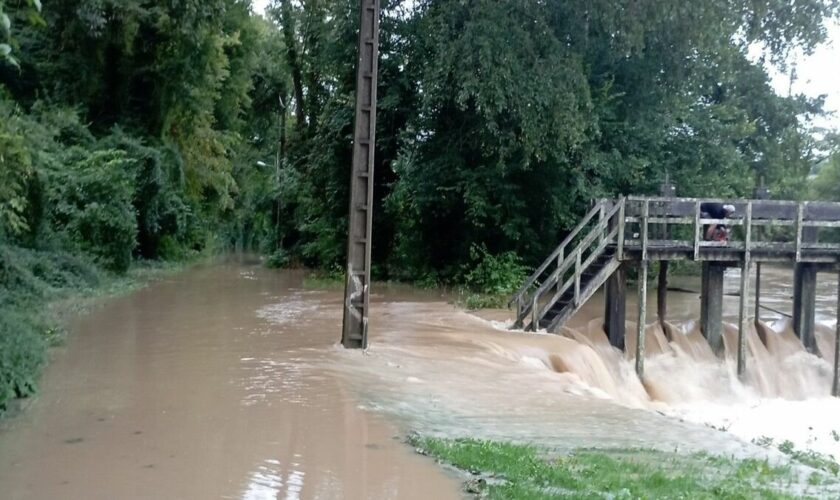 Risque de crue en Seine-et-Marne : les habitants surveillent le niveau des rivières comme le lait sur le feu