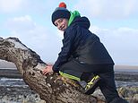 Sapling from felled Sycamore Gap tree to be planted in memory of 12-year-old schoolboy who planned to visit the iconic tree before he died of cancer