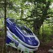 Sarco suicide pod is used for the first time as US woman, 64, uses the capsule to die in Swiss woodland - prompting police to swoop and detain staff