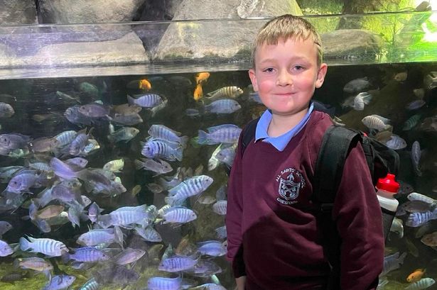 Schoolboy, 9, with 'cheeky smile everyone loved' dies on return from holiday