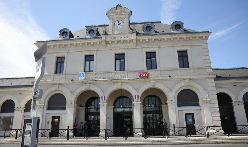 Seine-et-Marne : à peine sorti du tribunal de Meaux, il commet à nouveau deux infractions