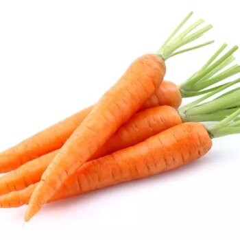 Simple carrot storage trick keeps them 'fresh and crunchy' for weeks