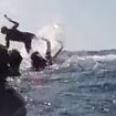 Souhtport, Gold Coast: Heart-stopping moment snorkeller is thrown into the air by a 30-tonne whale in front of tour group