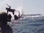 Souhtport, Gold Coast: Heart-stopping moment snorkeller is thrown into the air by a 30-tonne whale in front of tour group