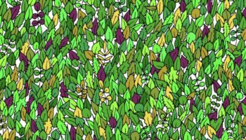 Suchbild: Augentest: Finden Sie den kleinen Frosch in 15 Sekunden?