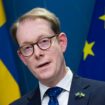 Sweden: Foreign Minister Tobias Billstrom steps down