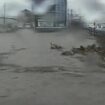 Terrifying moment entire street is submerged as killer floods hit Japan leaving one dead