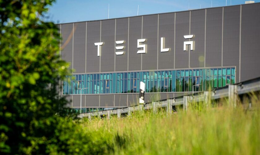 Tesla: Polizeieinsatz nahe Tesla-Protestcamp in Gründheide