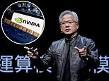 The AI bubble may be about to burst and no one will be immune from the financial fallout, writes RUTH SUNDERLAND as Nvidia shares plunge