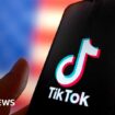 TikTok says US ban would have 'staggering' impact on users' free speech