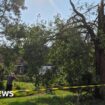 Tornado in Hampshire town damages properties and blows over trees