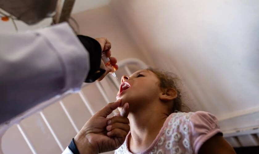 Tres días, 640.000 niños y 1,3 millones de dosis: el plan de vacunación contra la polio en Gaza