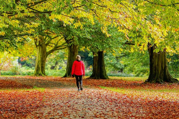 UK weather: Brits brace for icy -10C temperature plunge in stark six-day change