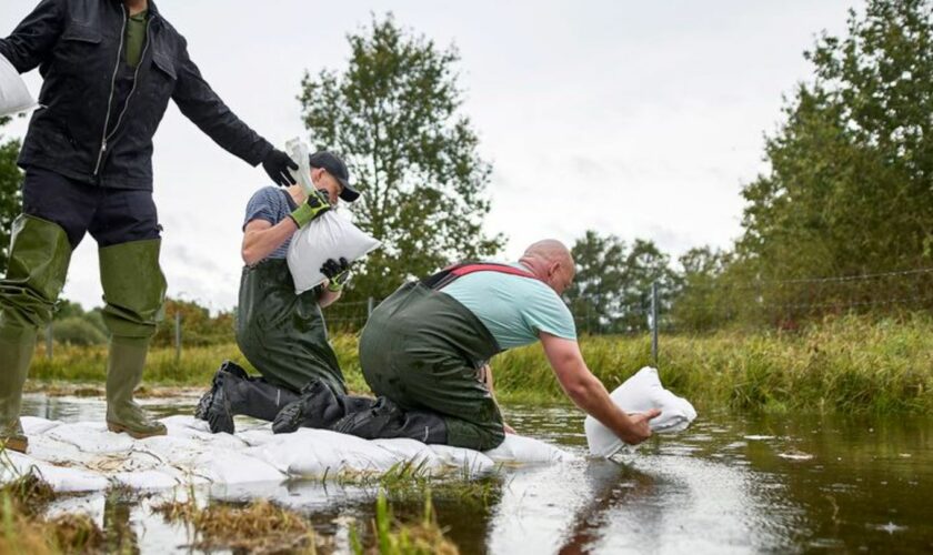 Durch einen Schutzdeich in Eisenhüttenstadt sickert Wasser. Einsatzkräfte rücken mit Sandsäcken an. Foto: Michael Ukas/dpa