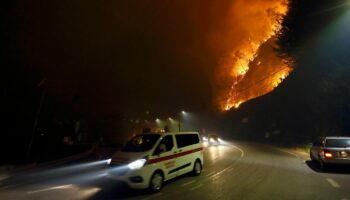 Umweltkatastrophe: Waldbrände in Portugal: "Das ist wie das Ende der Welt"