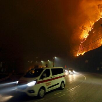 Umweltkatastrophe: Waldbrände in Portugal: "Das ist wie das Ende der Welt"