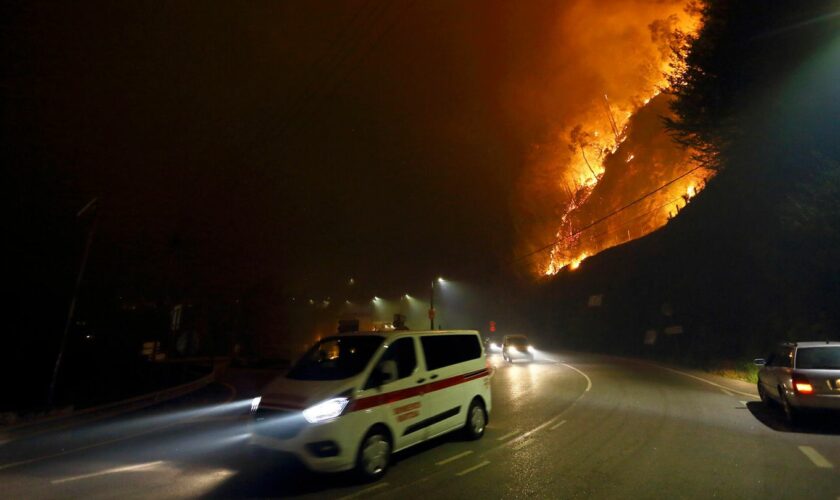 Umweltkatastrophe: Waldbrände in Portugal: "Das ist wie das Ende der Welt"