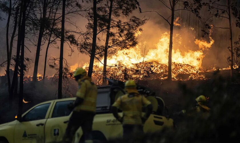 Un autobús lleno de españoles conduce durante horas por carreteras comarcales para escapar de los incendios que asolan Portugal y llegar a Galicia