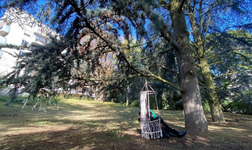 « Un bloc de béton à la place des arbres » : à Saint-Cloud, les cèdres et la faune menacés par la future ligne 15