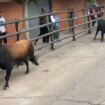 Un muerto y tres heridos, entre ellos una niña, tras escaparse un toro de un encierro en Pantoja (Toledo)