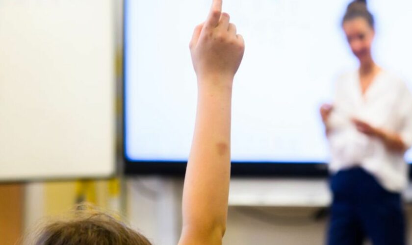 352 pensionierte Lehrkräfte an Schulen in Niedersachsen gibt es im aktiven Dienst. (Symbolbild) Foto: Julian Stratenschulte/dpa