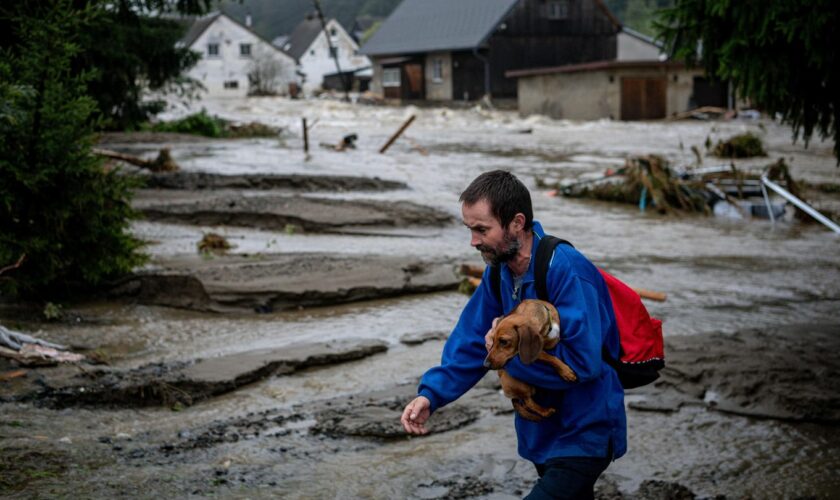 Unwetter in Europa: Zwei weitere Tote in Österreich – Elbpegel steigen weiter